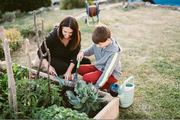 Comment et pourquoi créer des potagers urbains à Genève ?